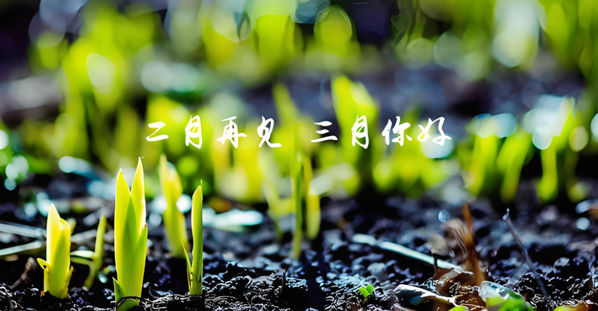 三合板廠家|金盛木業(yè)歡迎廣大客戶咨詢下單