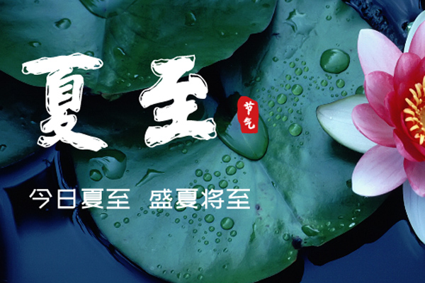 金盛木業(yè) | 夏至綠意濃,蟬鳴伴清風(fēng)