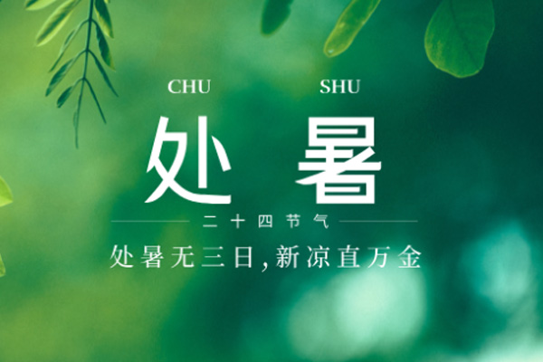 金盛木業(yè) | 未覺三夏盡,時序已新秋