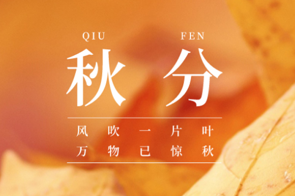 金盛木業(yè) | 云淡風(fēng)清揚,秋色可分長